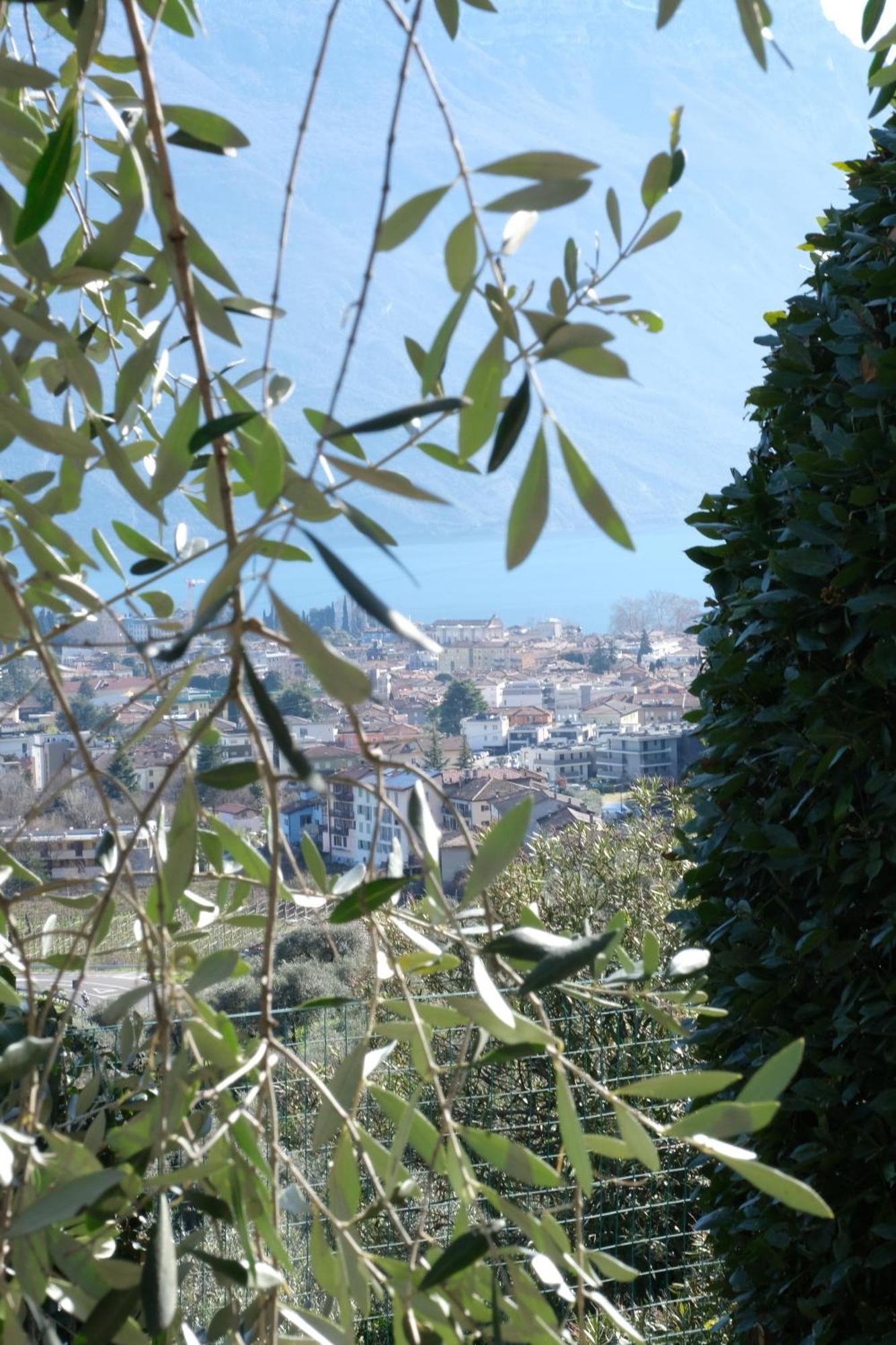Casa Segantini - Panorama Pool Apartment Gavazzo Nuova Luaran gambar