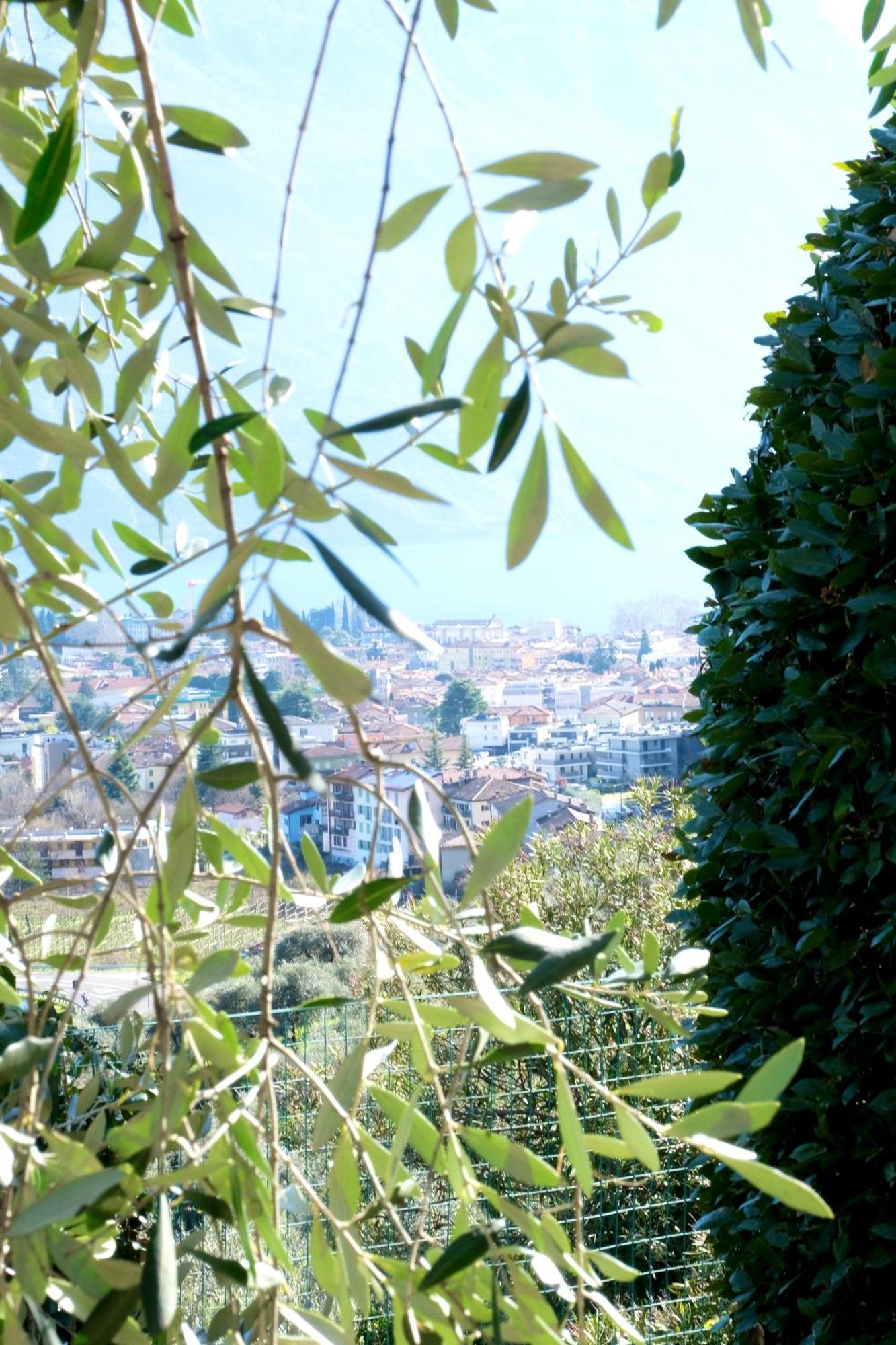 Casa Segantini - Panorama Pool Apartment Gavazzo Nuova Luaran gambar